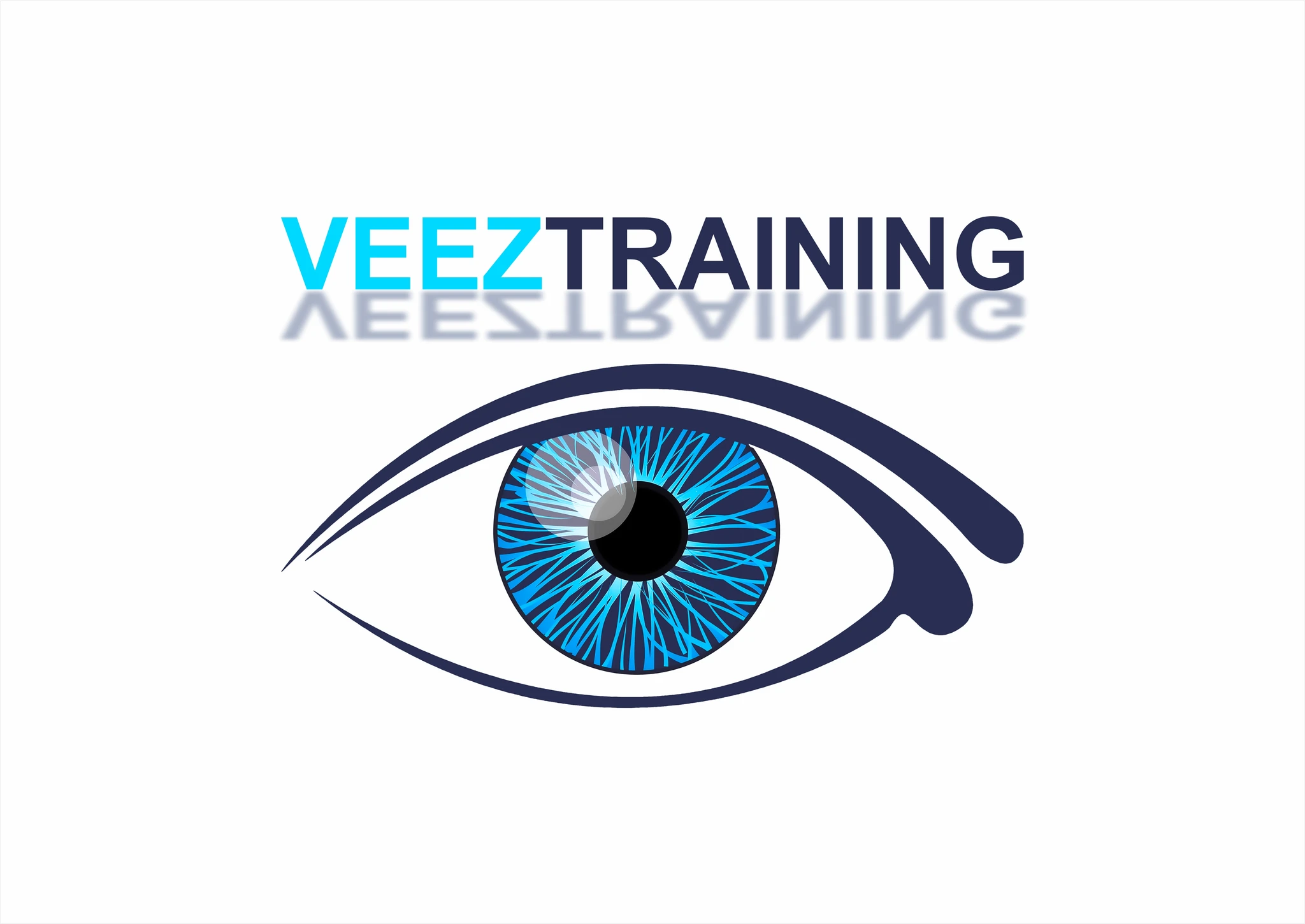 LOGO VEEZTRAINING 1.jpg