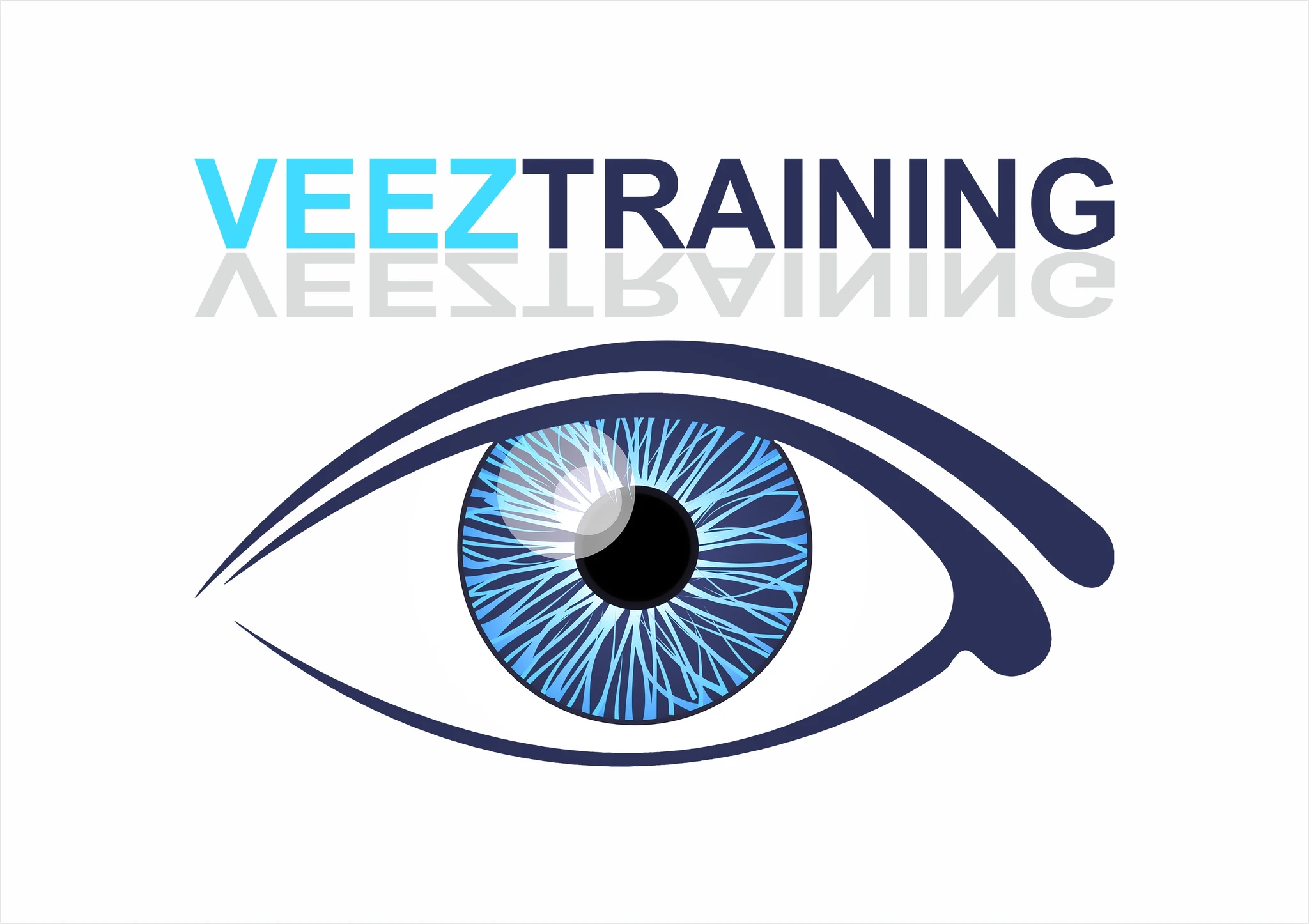 LOGO VEEZTRAINING 50.jpg